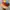 Gramicci Streetwear Sportswear Hat Pria Multicolor
