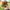 Gramicci Streetwear Sportswear Hat Pria multicolor photo 4