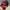 Gramicci Streetwear Sportswear Hat Pria multicolor photo 1