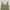 Michael Klein Vintage Y2K Cami top Wanita green photo 3