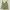 Michael Klein Vintage Y2K Cami top Wanita green photo 2