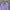 Minimalist Hoody Wanita purple photo 3