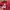 Minimalist Hoody Pria red pink photo 6