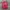 Minimalist Hoody Pria red pink photo 1