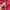 Minimalist Hoody Pria red pink photo 5