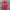 Minimalist Hoody Pria red pink photo 2