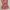 Vintage Y2K Cami top Wanita pink photo 4