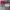 Louis Vuitton Y2K Luxury Brief Pria multicolor photo 2