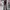Lee Grunge Goth Casual pants Pria brown photo 8
