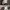 Lee Grunge Goth Casual pants Pria brown photo 7