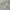Tommy Hilfiger Minimalist Casual Suit Pria gray photo 3