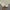 Adidas Luxury Minimalist Hoody Pria white photo 8