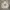 Adidas Luxury Minimalist Hoody Pria white photo 1