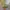 Adidas Luxury Hoody Pria multicolor photo 5