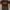 Thrasher Skater Casual Fleece Pria tan brown photo 1