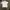 Pierre Cardin Luxury Sportswear Polo shirt Pria white photo 1