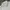 Pierre Cardin Luxury Sportswear Polo Shirt Pria White