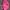 Reebok Minimalist Messenger Bags & Satchel Wanita Pink