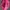 Reebok Minimalist Messenger bags & Satchel Wanita pink photo 2