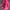 Reebok Minimalist Messenger Bags & Satchel Wanita Pink