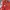 Levi's Y2K Sportswear Suit Pria red gray photo 2