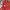 Levi's Y2K Sportswear Suit Pria Red Gray