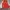 Levi's Y2K Sportswear Suit Pria red gray photo 1