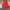 Levi's Y2K Sportswear Suit Pria Red Gray