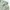 Fendi Vintage Luxury Bomber Jacket Wanita Green