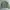 Fendi Vintage Luxury Bomber jacket Wanita green photo 4