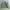Fendi Vintage Luxury Bomber jacket Wanita green photo 3