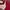 Minimalist Casual Handbag Wanita burgundy photo 3