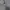 Burberry Casual Formal shirt Pria silver white photo 4