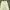 ZARA Luxury Casual Casual trouser Wanita green photo 5