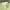 ZARA Luxury Casual Casual trouser Wanita green photo 6