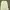ZARA Luxury Casual Casual trouser Wanita green photo 8