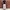 ZARA Luxury Casual Casual trouser Wanita green photo 3