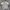 Burberry Luxury Casual Polo Shirt Pria Multicolor