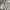 Burberry Luxury Casual Polo shirt Pria multicolor photo 3
