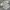Burberry Luxury Casual Polo shirt Pria multicolor photo 4