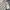 Burberry Luxury Casual Polo shirt Pria multicolor photo 2