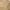 Nike Vintage Hoody Pria gold tan photo 4
