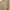 Nike Vintage Hoody Pria gold tan photo 2