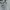 Tommy Hilfiger Streetwear Hoody Pria gray photo 2