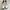 Casual Sneakers Pria white khaki photo 4