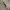 WHO.A.U Casual Sweatshirt Pria cream photo 2