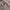 Casual Sweatshirt Pria gray photo 2