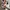 Japanese brand Vintage Wanita brown photo 1