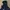 The North Face Gorpcore Windbreaker Pria black photo 7