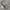 New Balance Sportswear Minimalist Boots Pria white photo 2